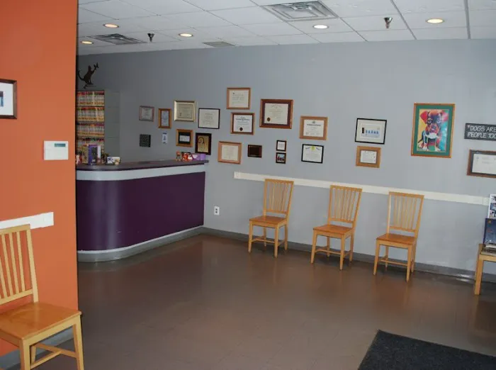 Foxmoor Animal Hospital 8