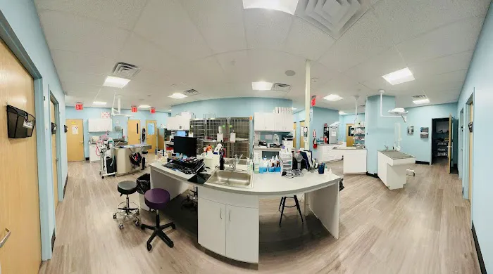 Ridgecrest Animal Hospital 12
