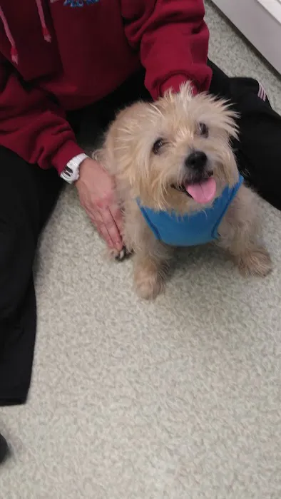 Edinburg Animal Hospital 4