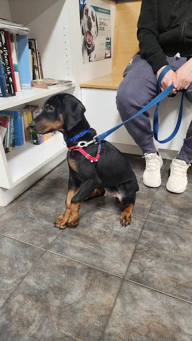 Edinburg Animal Hospital 7