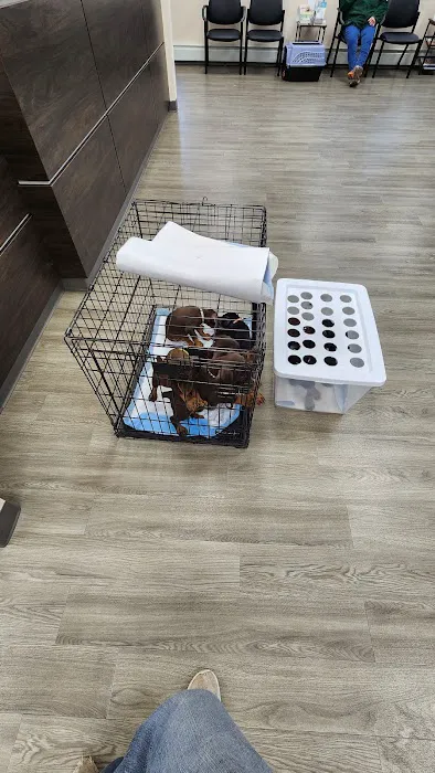 Mansfield Veterinary Hospital 3