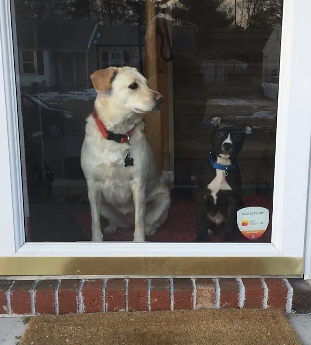 Mansfield Veterinary Hospital 1