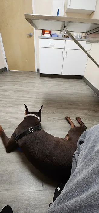 Mansfield Veterinary Hospital 6