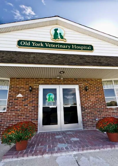 Old York Veterinary Hospital 3