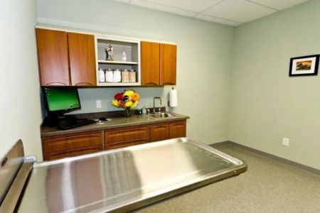 Old York Veterinary Hospital