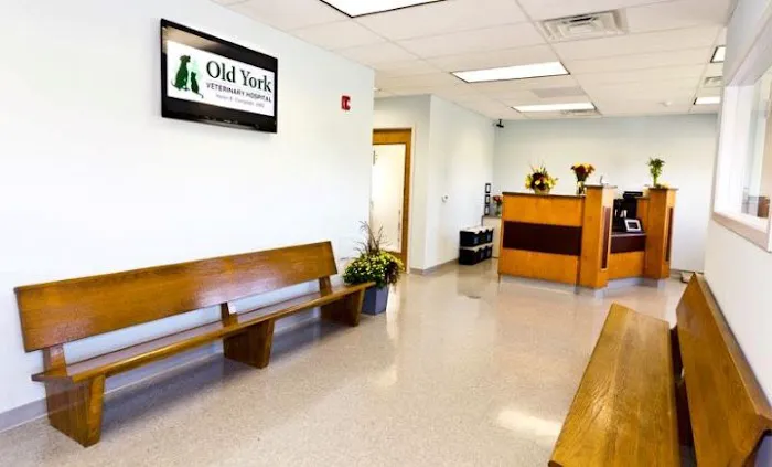 Old York Veterinary Hospital 4
