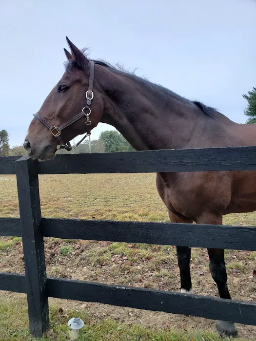 East Coast Equine Performance, LLC 3