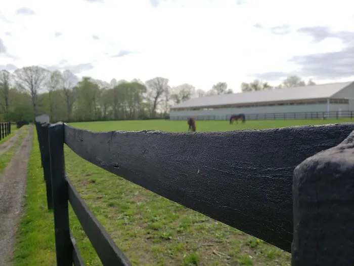 East Coast Equine Performance, LLC 2