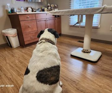 Wrightstown Veterinary Clinic
