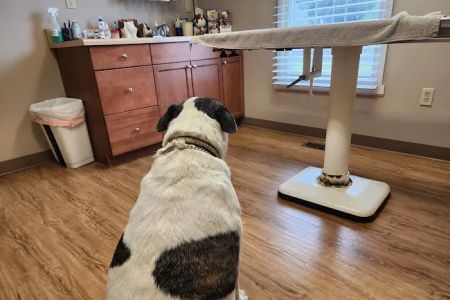 Wrightstown Veterinary Clinic