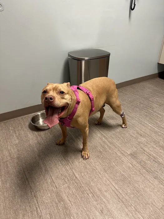 Hamilton Animal Hospital 2