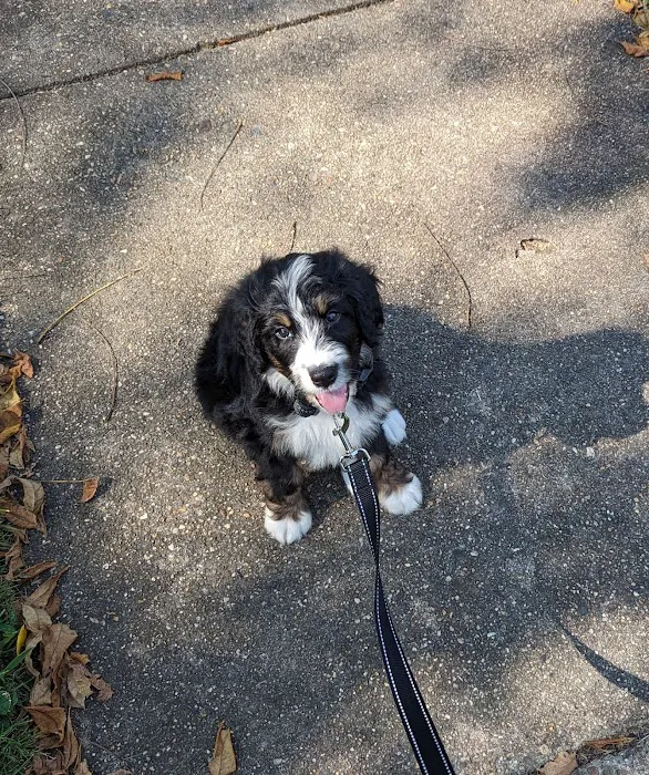 Hamilton Animal Hospital 6