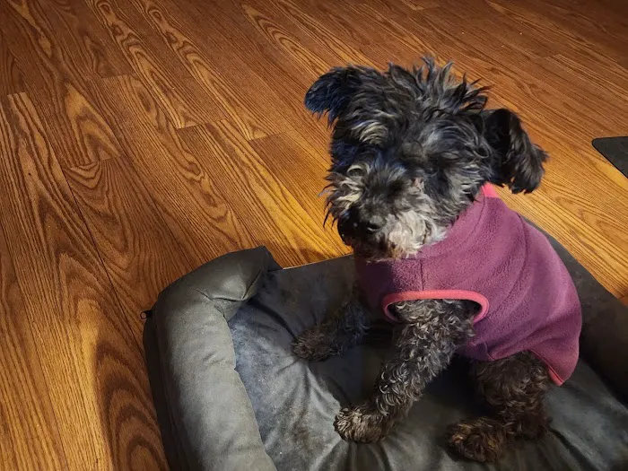 Banfield Pet Hospital 6