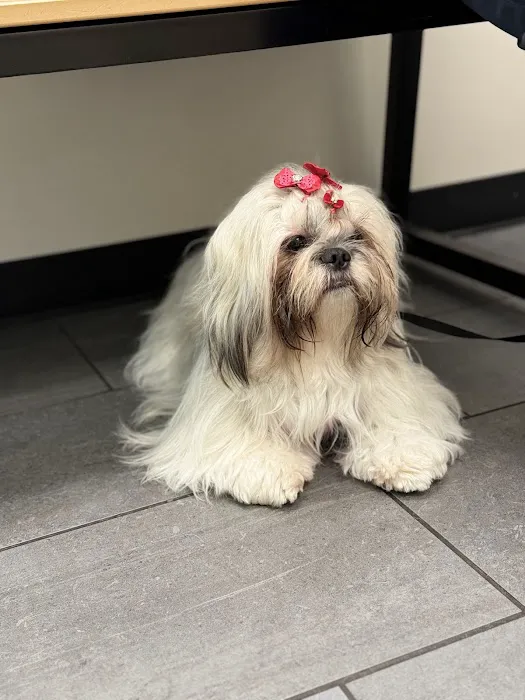 Banfield Pet Hospital 5