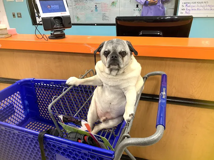 Banfield Pet Hospital 9