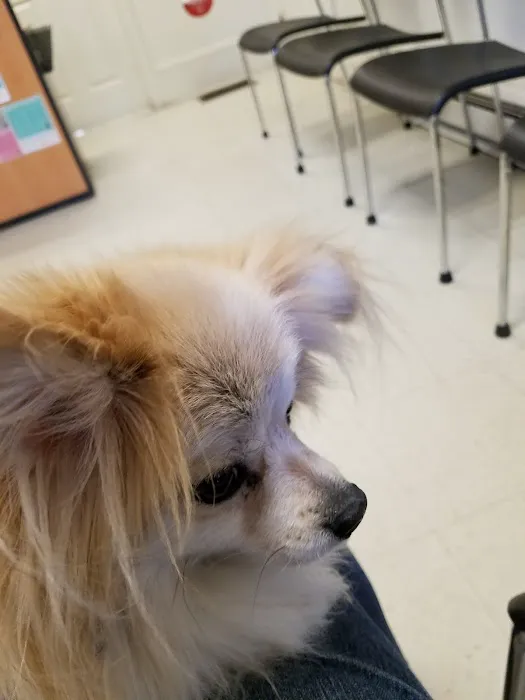 Madden Animal Hospital 5