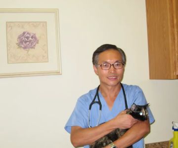 Paws Pet Clinic