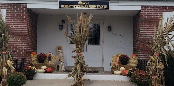 Hickory Veterinary Primary Care 12