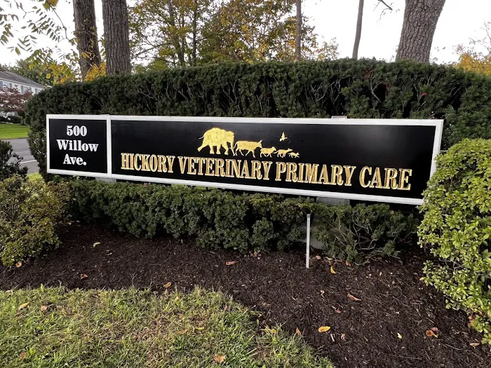 Hickory Veterinary Primary Care 12