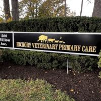 Hickory Veterinary Primary Care ico