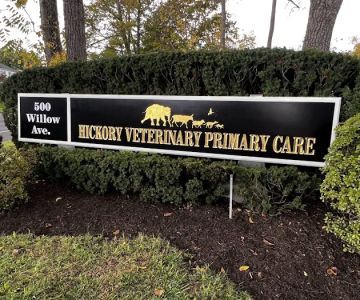 Hickory Veterinary Primary Care