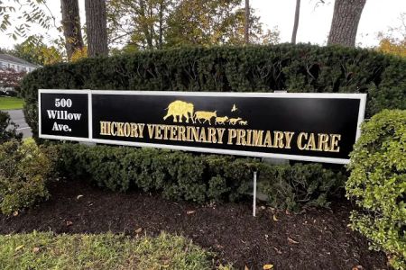 Hickory Veterinary Primary Care