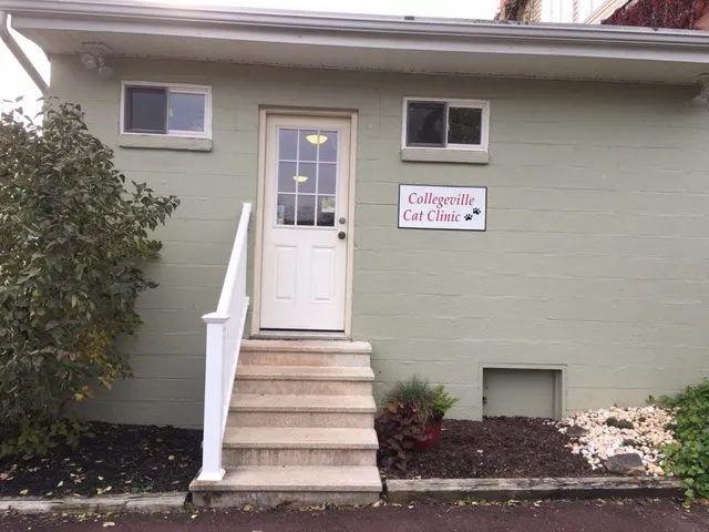 Collegeville Cat Clinic 2