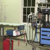 Skippack Animal Hospital ico