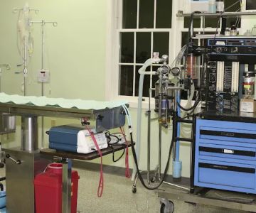 Skippack Animal Hospital