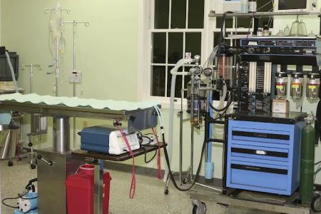 Skippack Animal Hospital