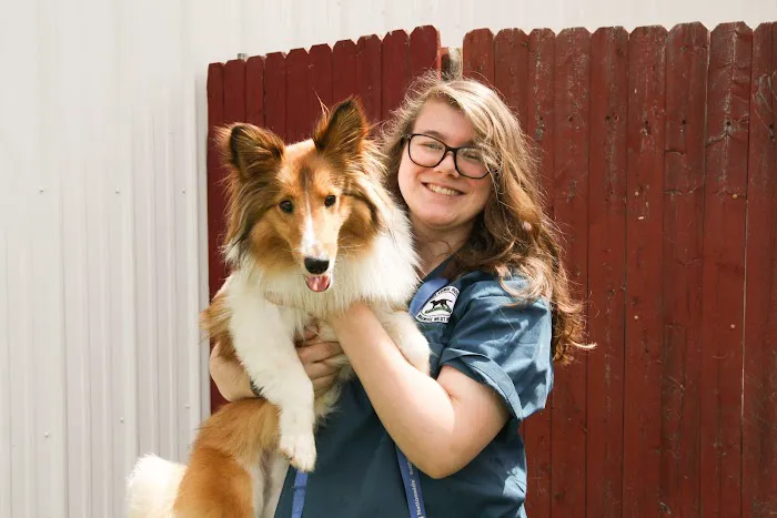 Skippack Animal Hospital 12