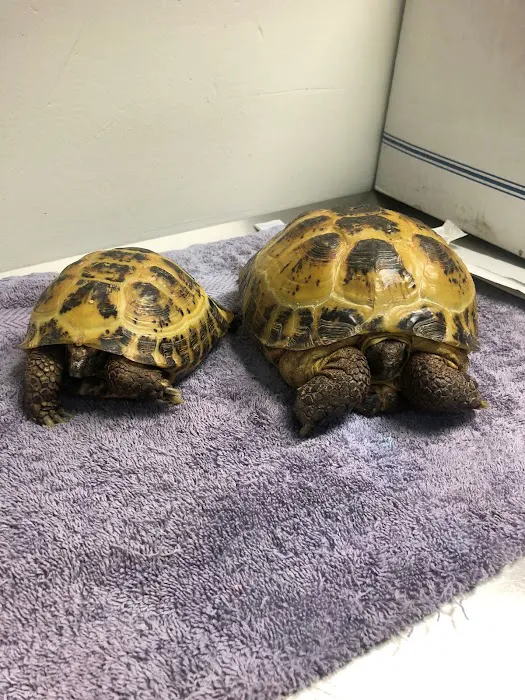 Street Road Animal Hospital 6