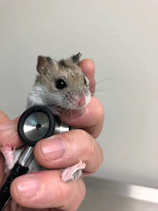 Street Road Animal Hospital 10