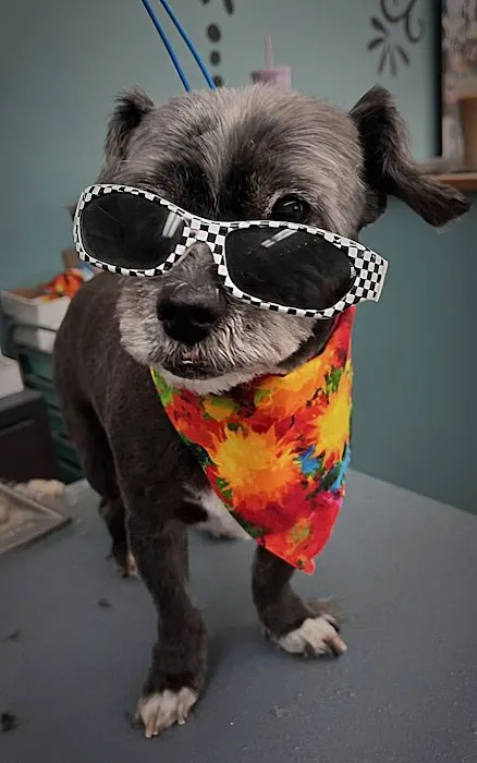 Family Pet Clinic 2 3