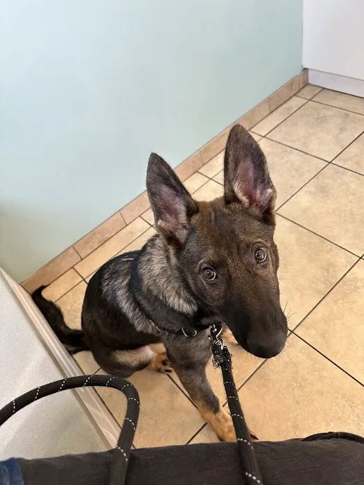 Family Pet Clinic 2 7