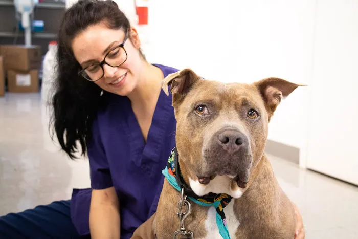 Family Pet Clinic 2 5