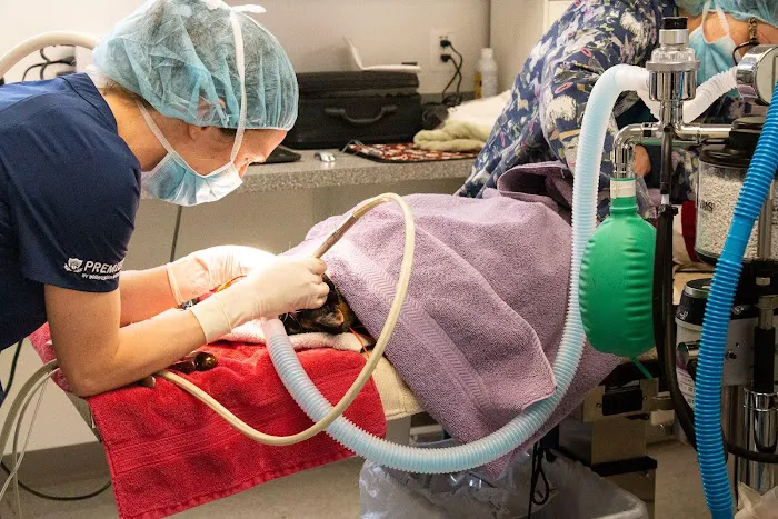 Family Pet Clinic 2 8