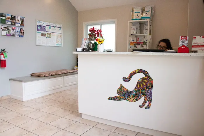 Family Pet Clinic 2 9