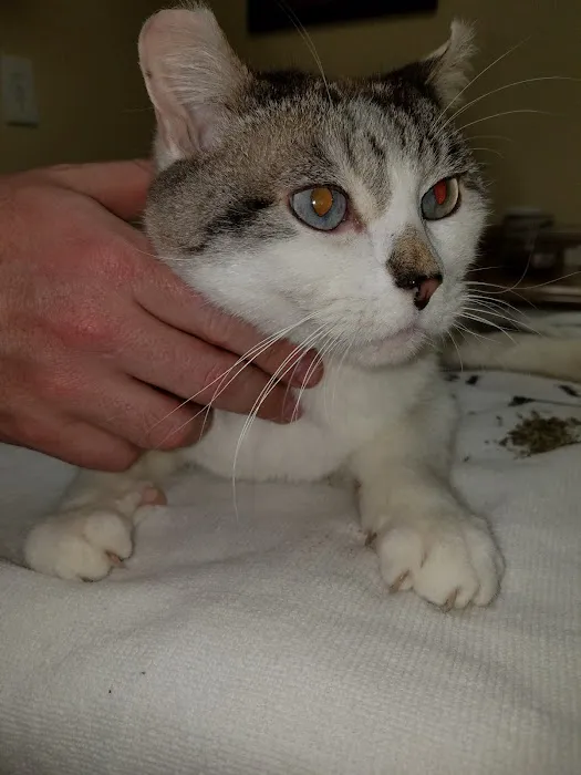 Bethayres Veterinary Hospital 2