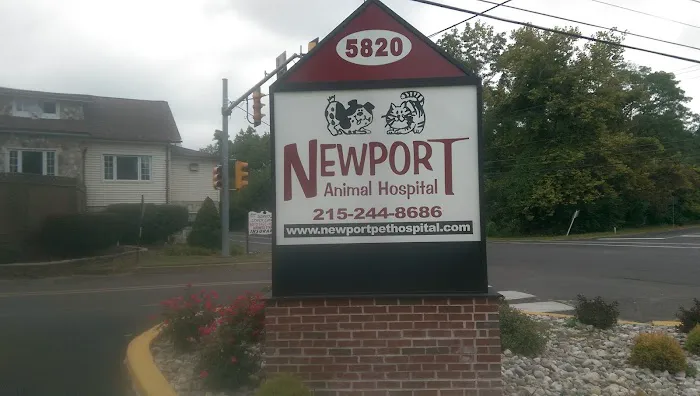 Newport Animal Hospital 3
