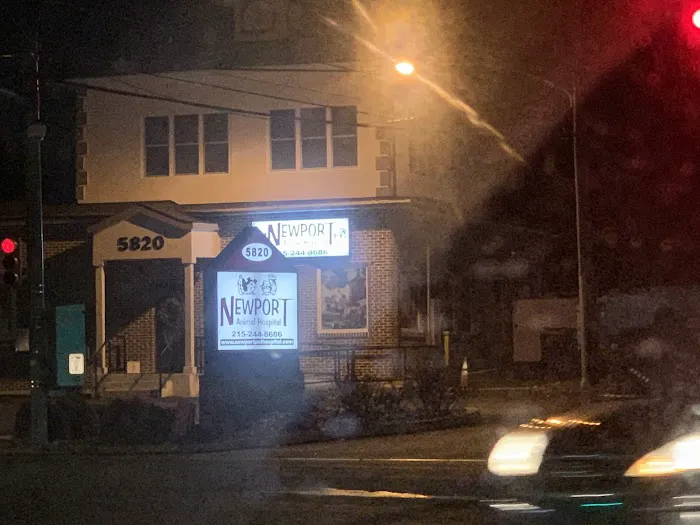 Newport Animal Hospital 4