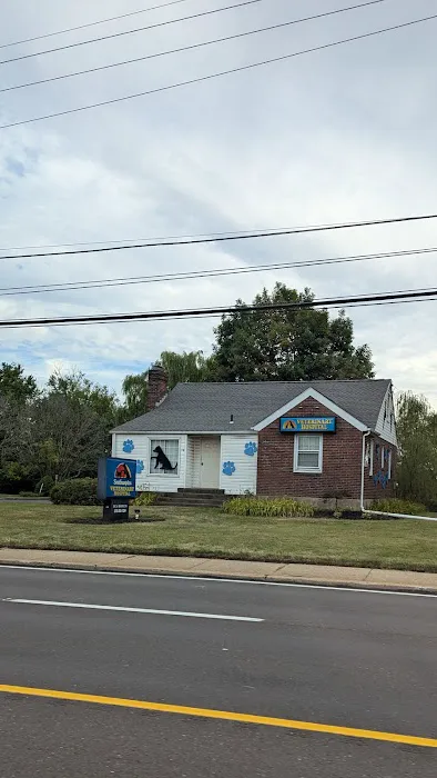 Southampton Veterinary Hospital 1