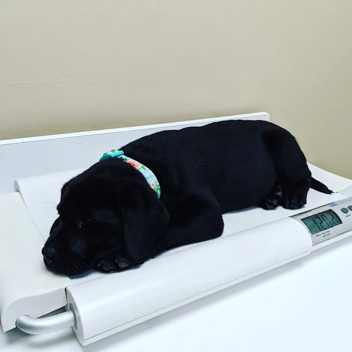 Southampton Veterinary Hospital 6
