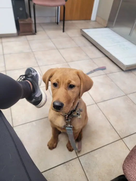Southampton Veterinary Hospital 5
