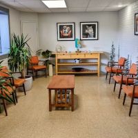 York Road Veterinary Hospital Inc. ico