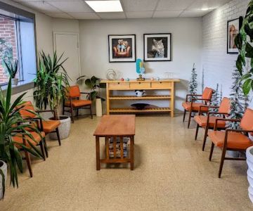 York Road Veterinary Hospital Inc.
