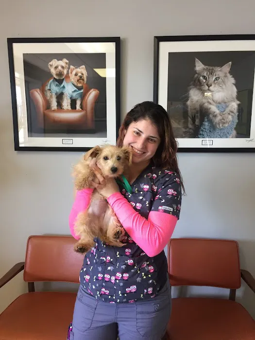 York Road Veterinary Hospital Inc. 2