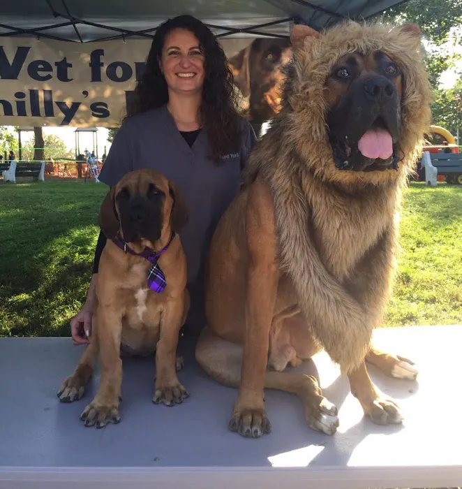 York Road Veterinary Hospital Inc. 3