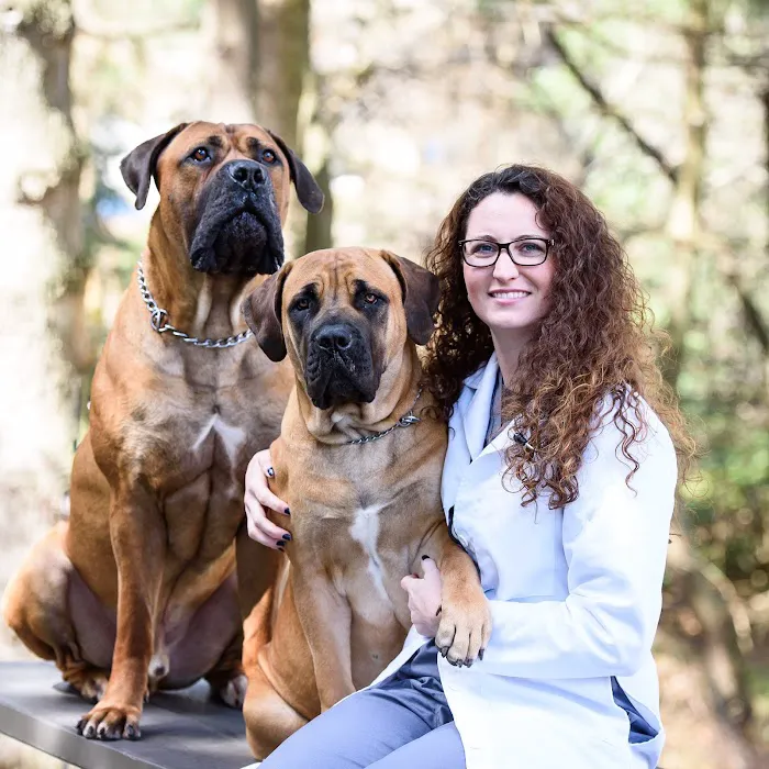 York Road Veterinary Hospital Inc. 4