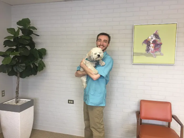 York Road Veterinary Hospital Inc. 6